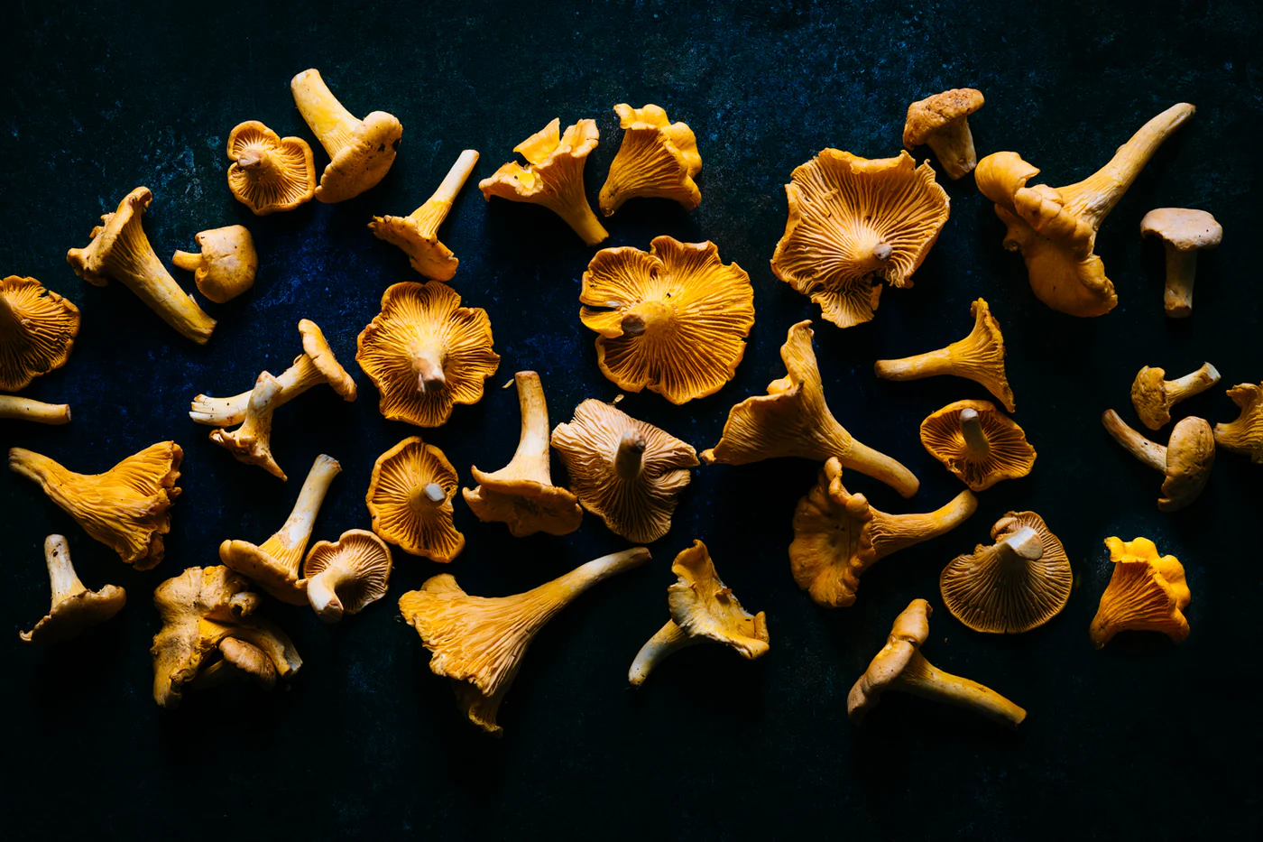 Exquisite Ingredients for Extraordinary Cooking