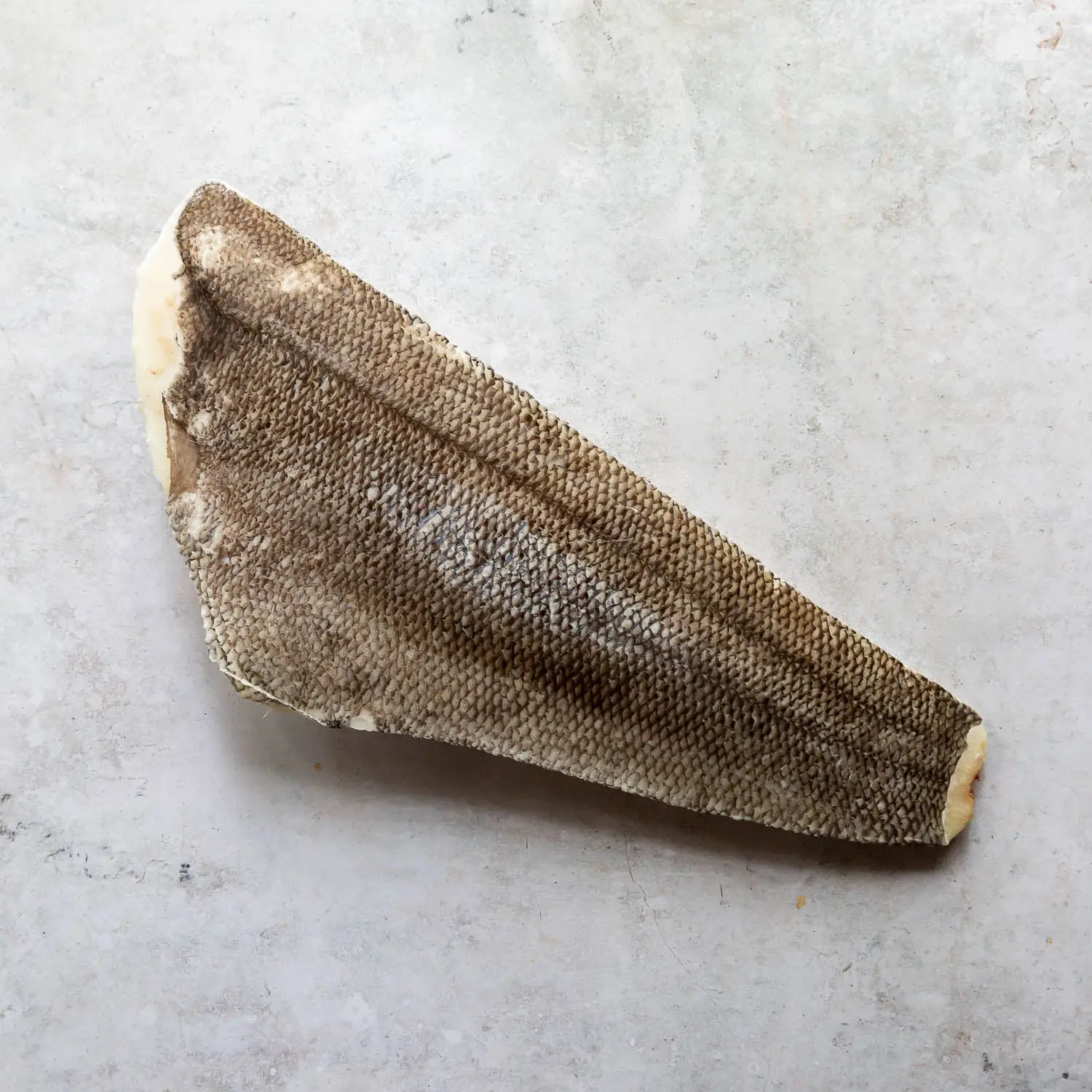 Chilean Sea Bass Whole Side (Patagonian Toothfish) - Image 2