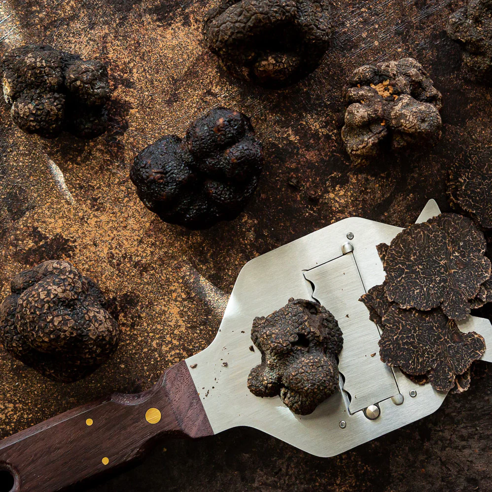 Fresh Périgord Black Truffles - Image 3