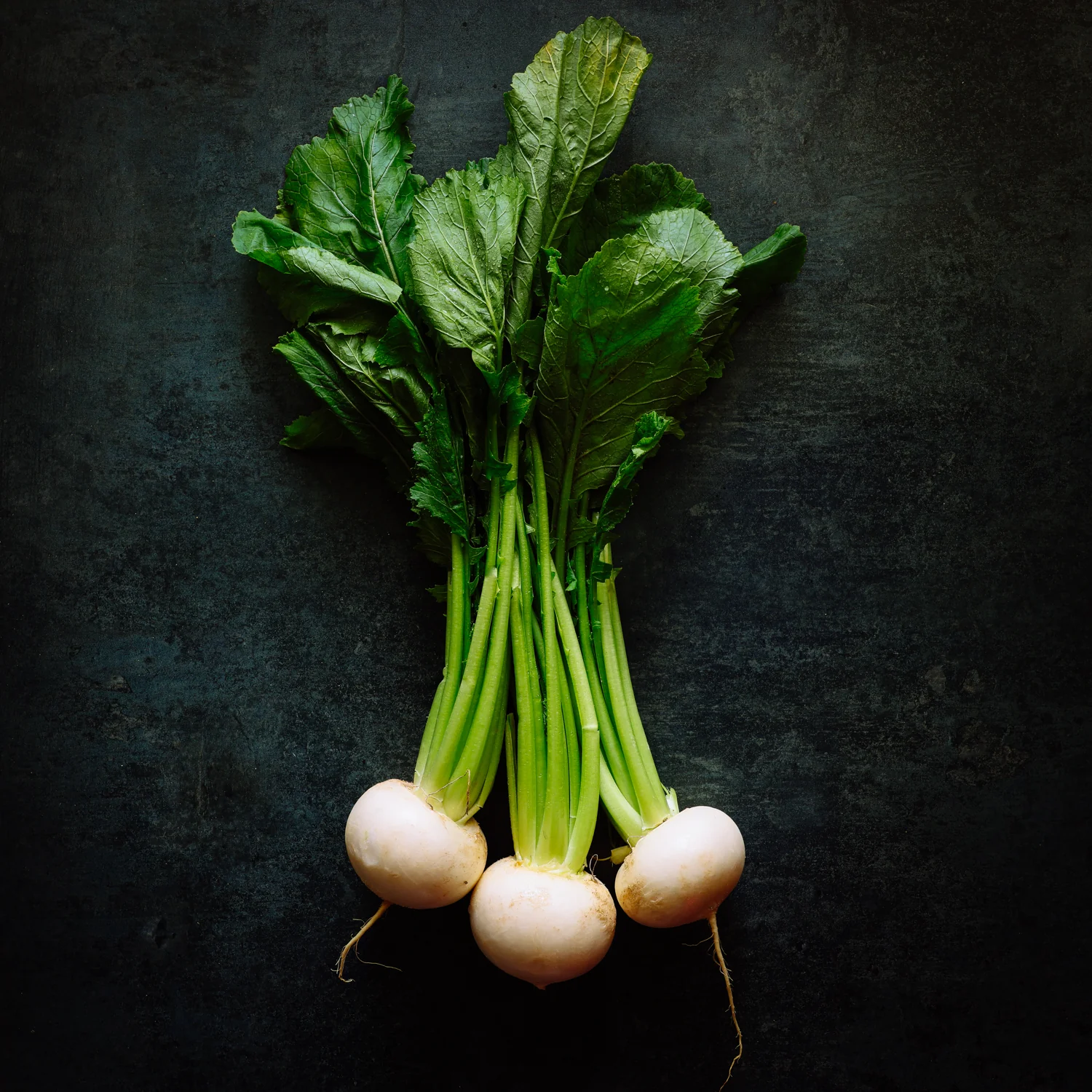 Tokyo Turnips - Image 2