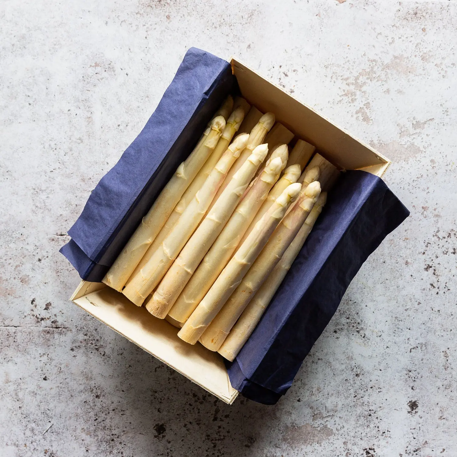 White Asparagus 'La Délicate' - Image 5